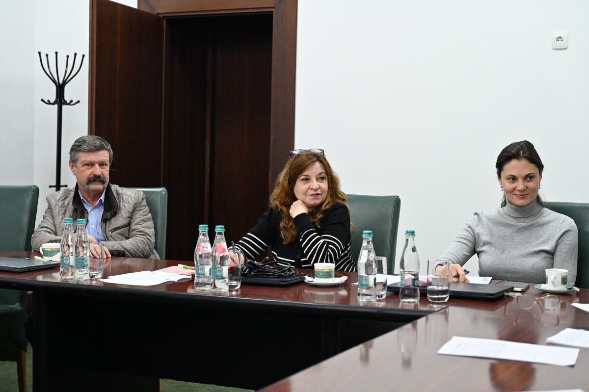 Misiune de audit extern