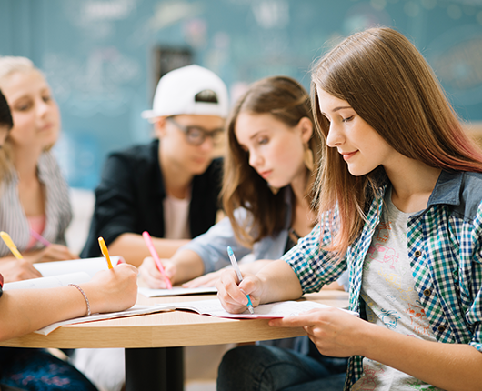 Centrul de instruire preuniversitară