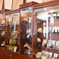 Muzeul de anatomie a omului